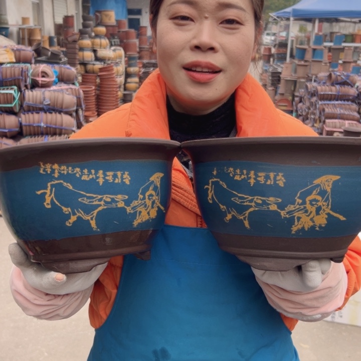 21+21蓝色放牛娃平三角金钟花盆