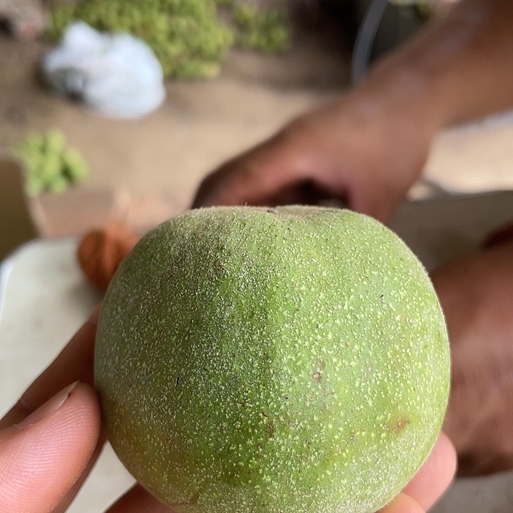 文玩核桃把件野生皇冠5个