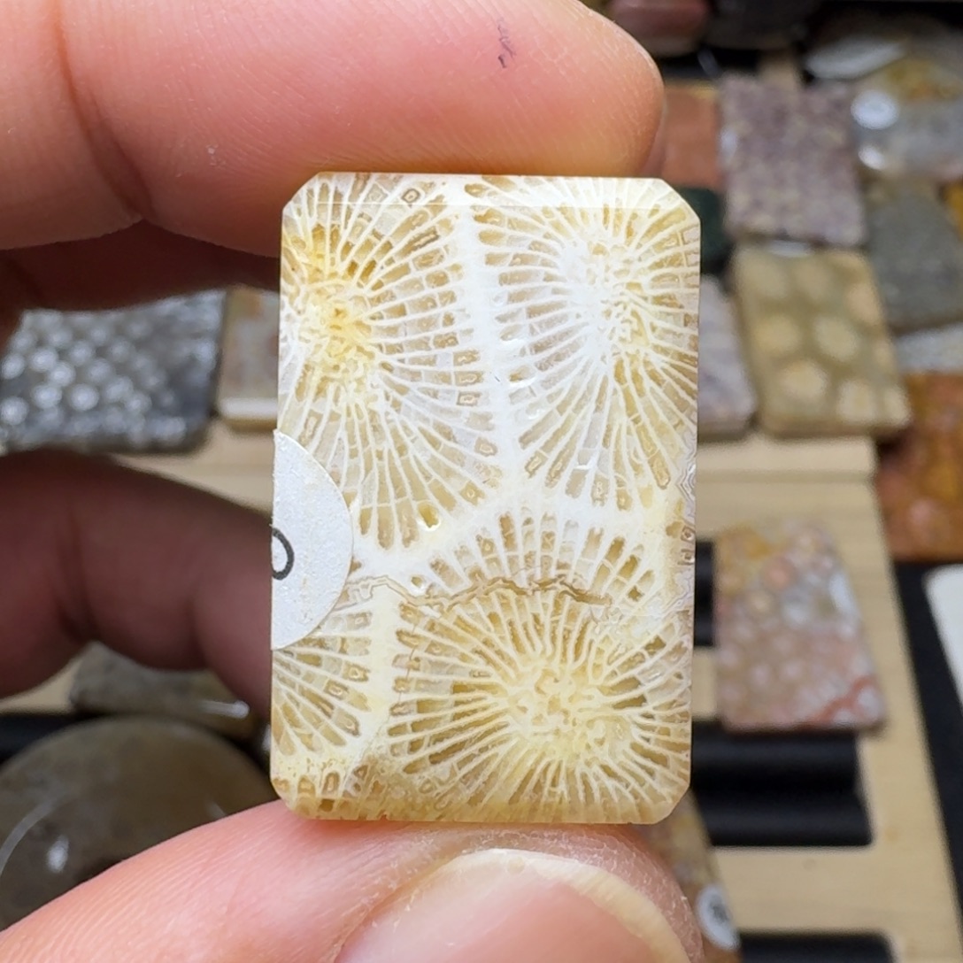 硅化玉未镶嵌纯天然色有机玉石保真色