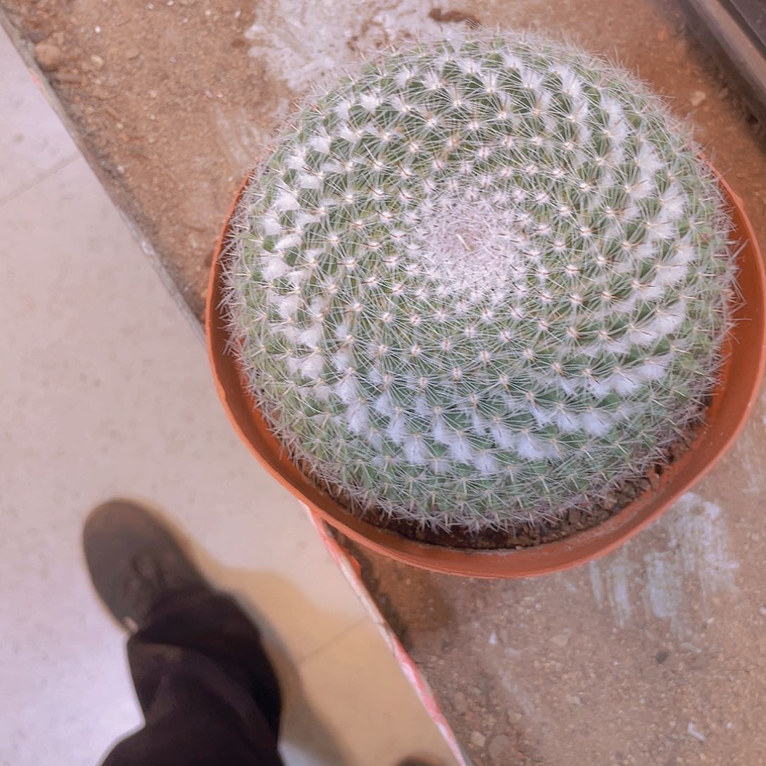 无花朵小*鱼顺风顺水！顺风顺水