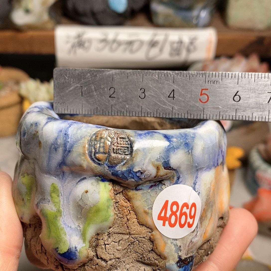 红陶拍5送一个小