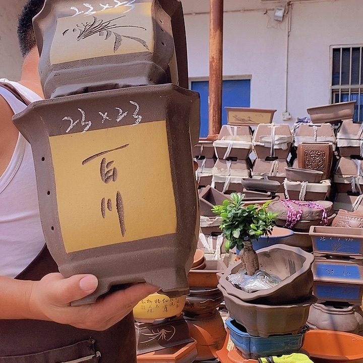 紫砂花盆紫砂花盆
