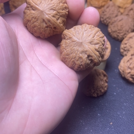 文玩核桃全品铁锤妹妹40