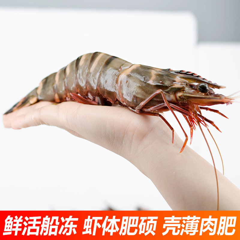 黑虎虾超大特大草虾老虎虾越南大虾海虾顺丰包邮到家