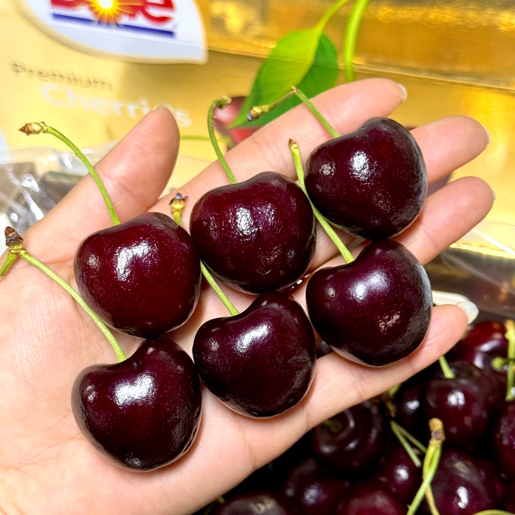 5斤【精品3JD金都乐-海运】智利车厘子高品质脆甜多汁,内附果径卡桑提娜智利