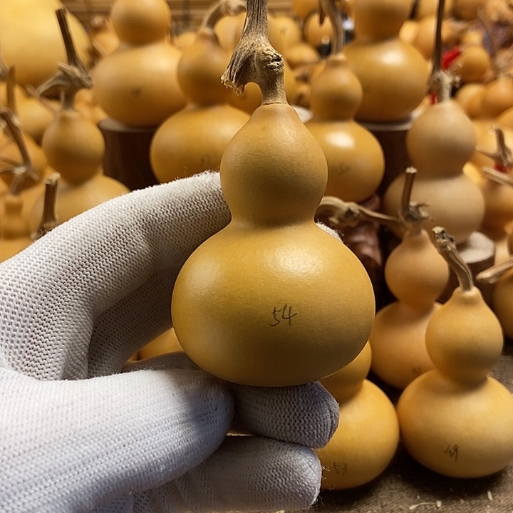 文玩葫芦 完美主义者 慎拍54