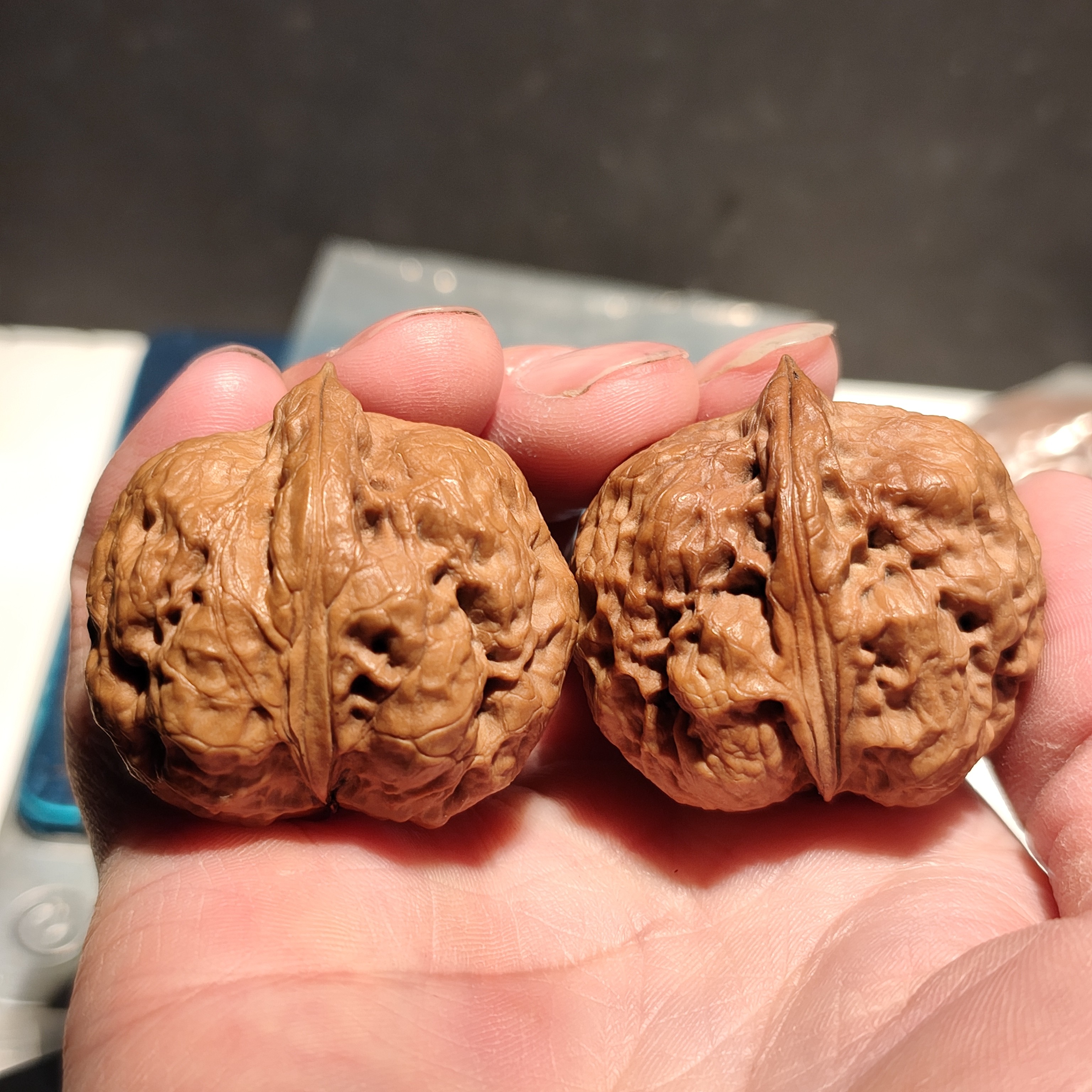 098号云南铁核桃39鬼斧金蟾带彩