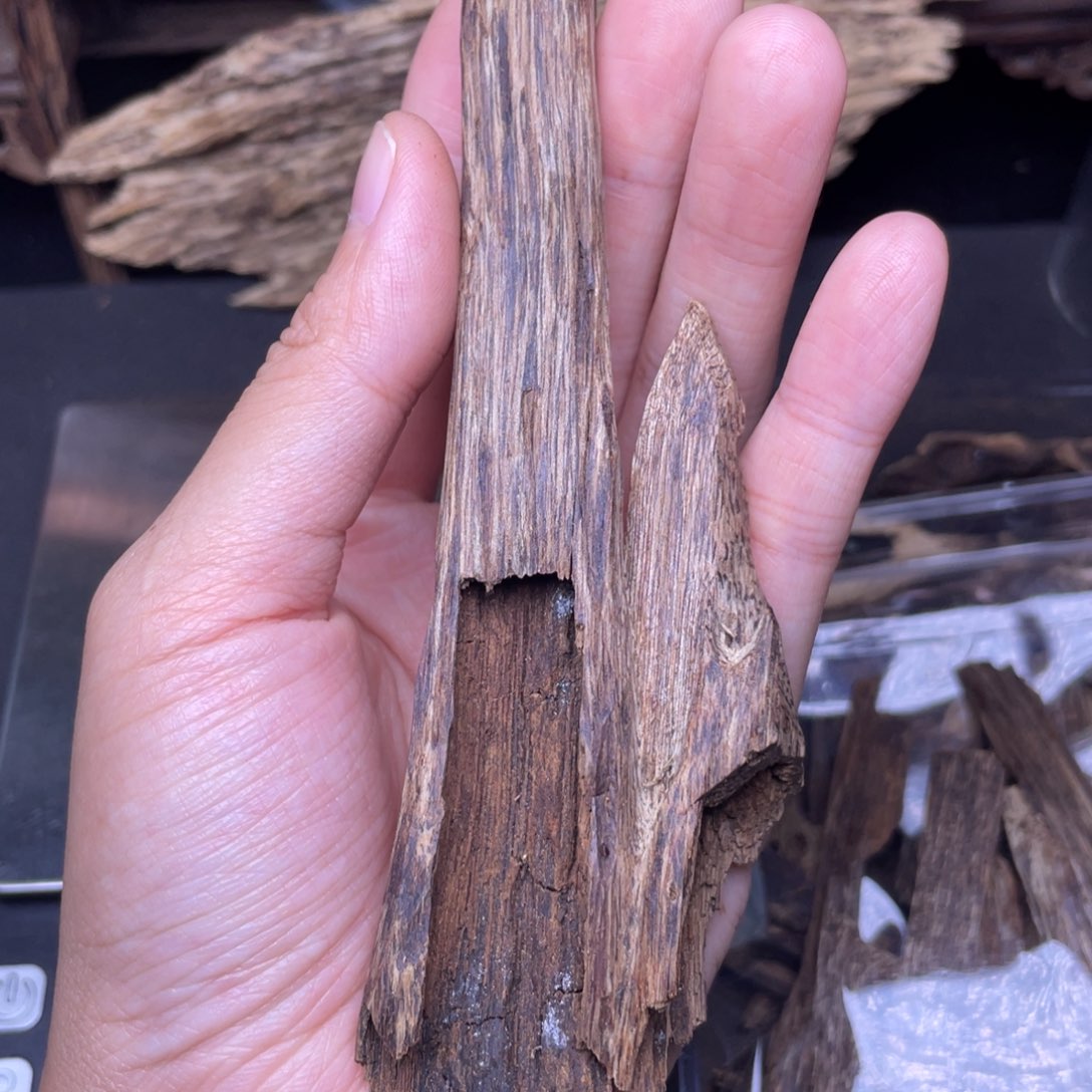 香榧木海南尖峰岭虫漏11.9克