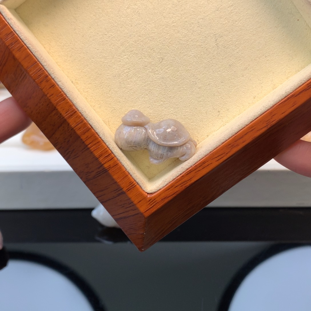 硅化珊瑚（珊瑚玉）颈饰未镶嵌小龟