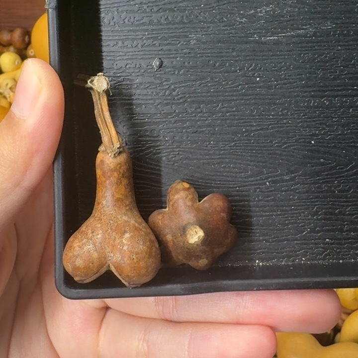可拆葫芦葫芦葫芦葫芦