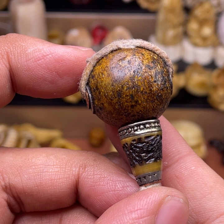 驼骨摆件人工养殖