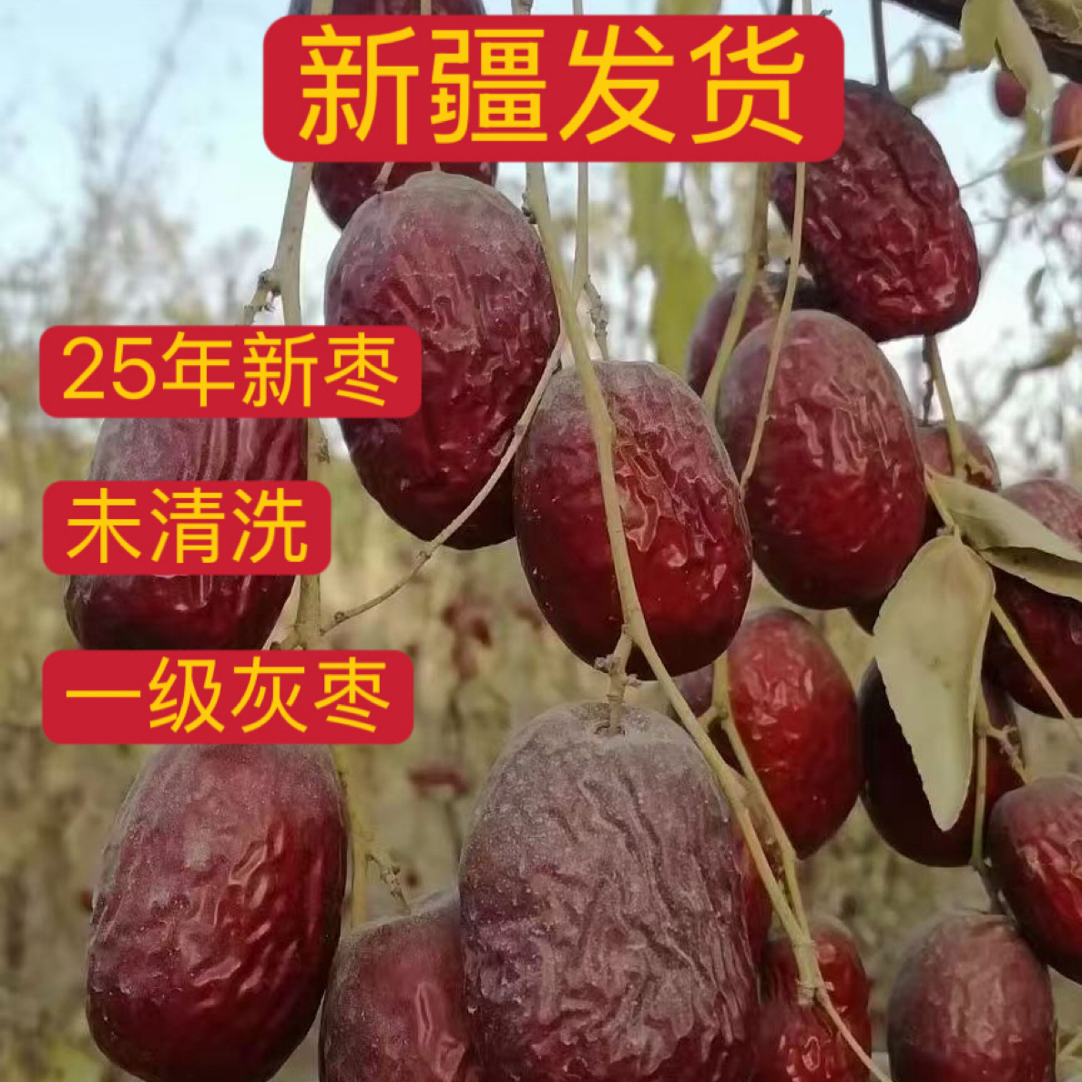 【新疆库尔勒直发】2025年自然吊干灰枣未清洗核小皮薄枣香浓郁