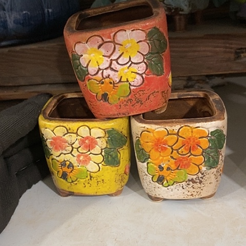 【闪购商品】红陶1