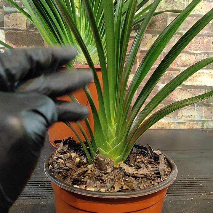 完全开放111111111