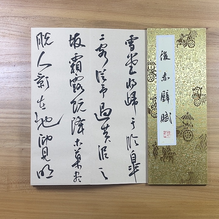 书法中书协会员作品