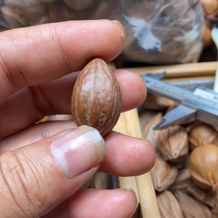 吊坠橄榄核欢*18 正四花