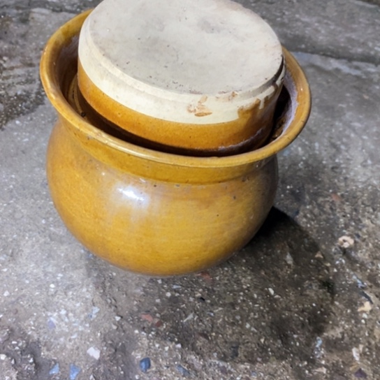 花絮视频：是一种怎样被