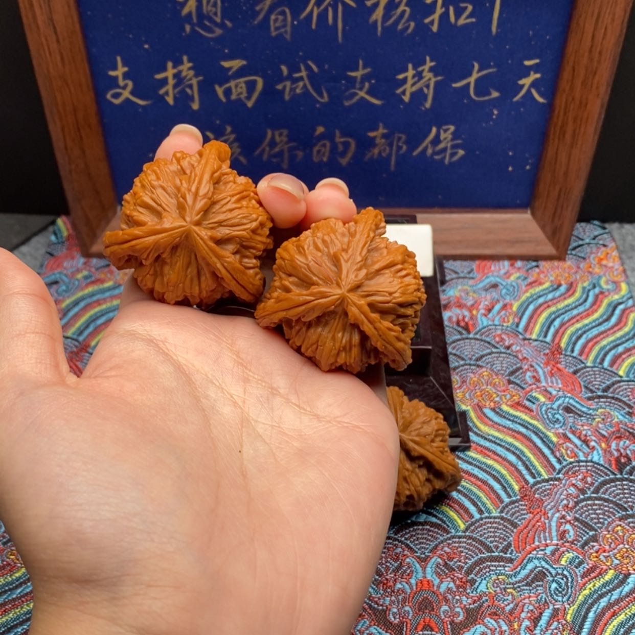 【闪购商品】花*白狮