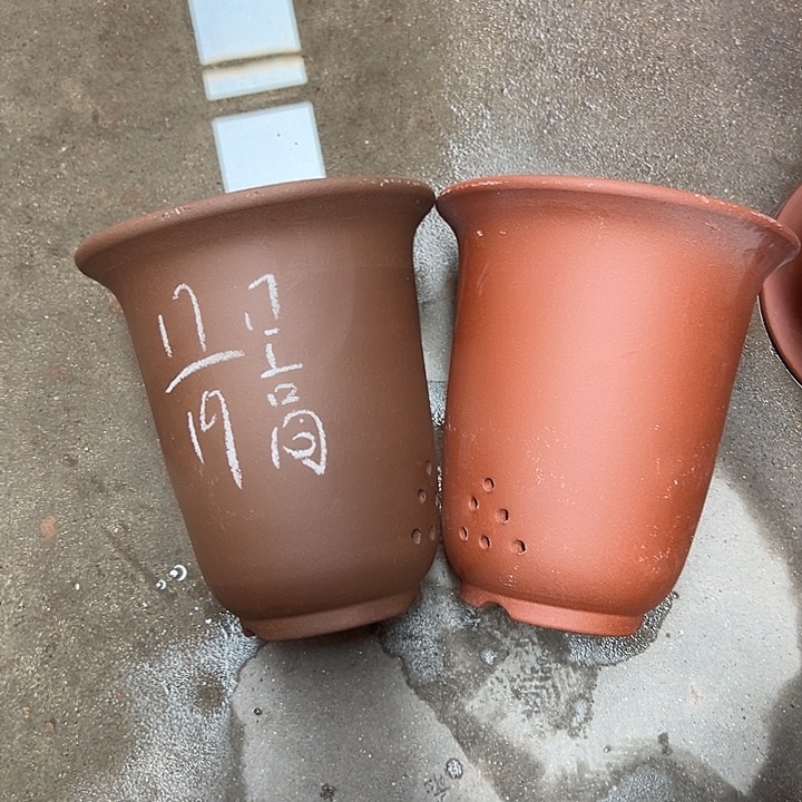 周三周四试试再说 