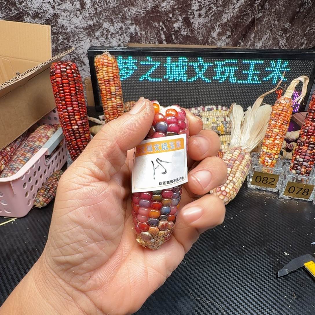 爱***2大叶紫檀（黑酸枝木类）