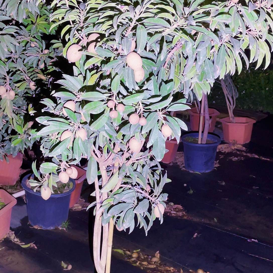 完全开放2222的方法来解决问题了吗我的