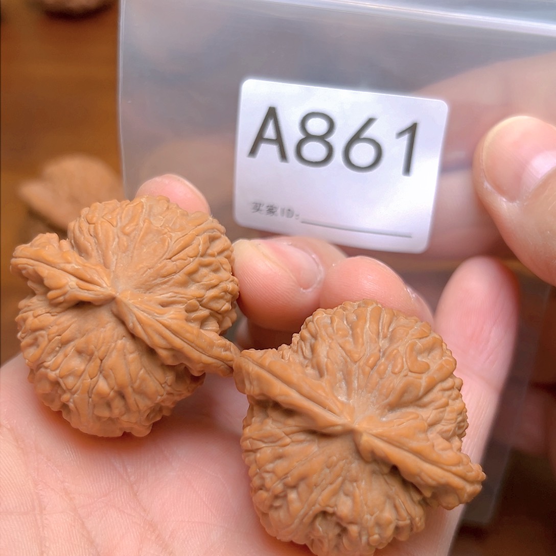 文玩核桃吊坠41➕白狮子