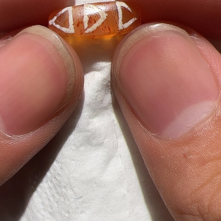 香榧木在家了一个