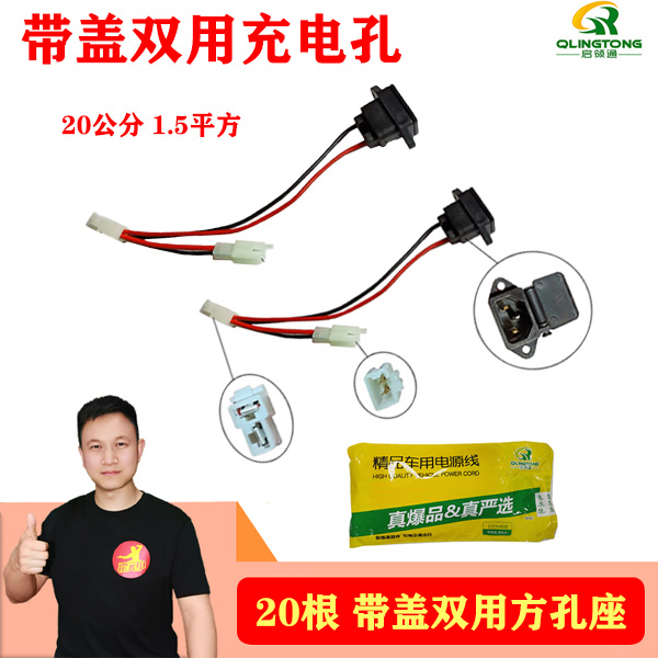 20根 电动车充电孔方孔座插电口充电口带插件 双接插件纯铜丝 