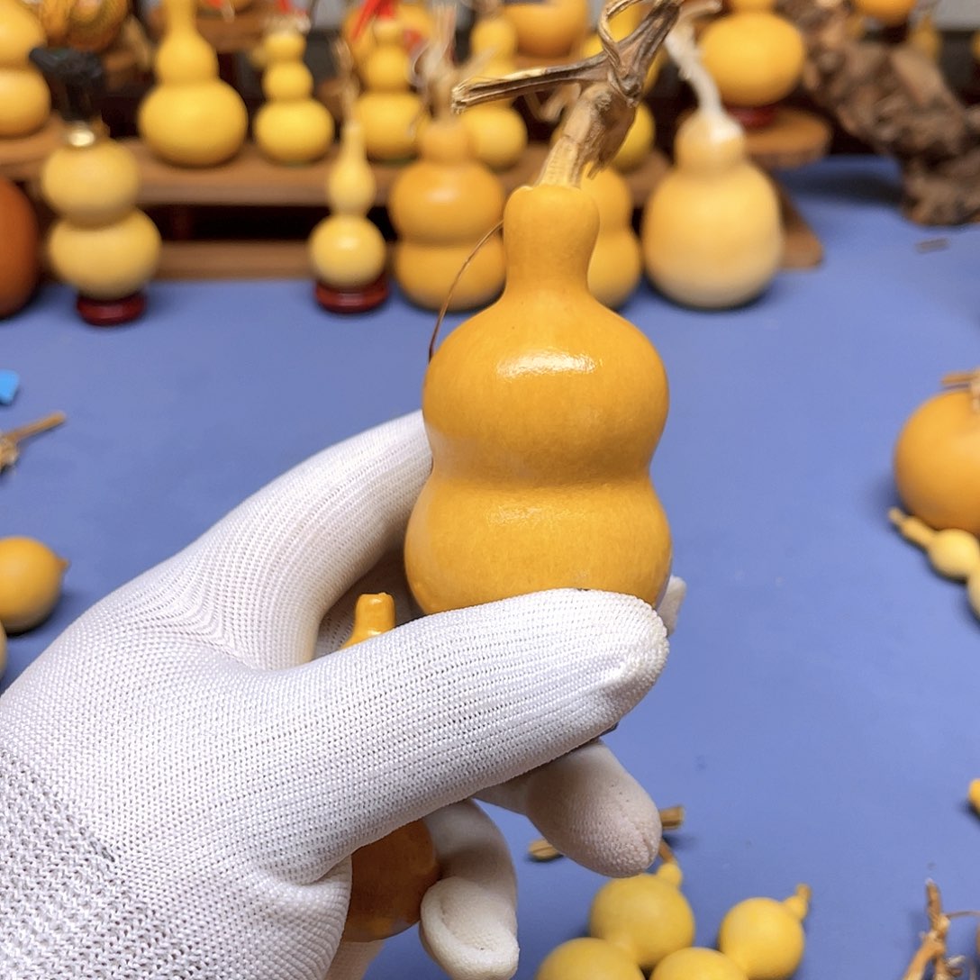 快乐大本营我都快气傻不傻