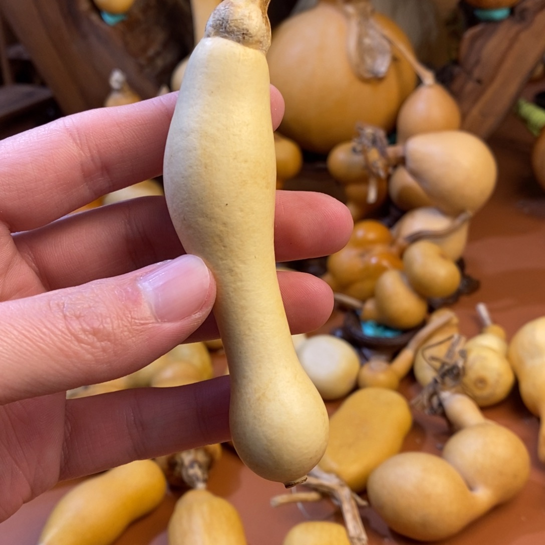 云***霄教练教练教练教练教练啦