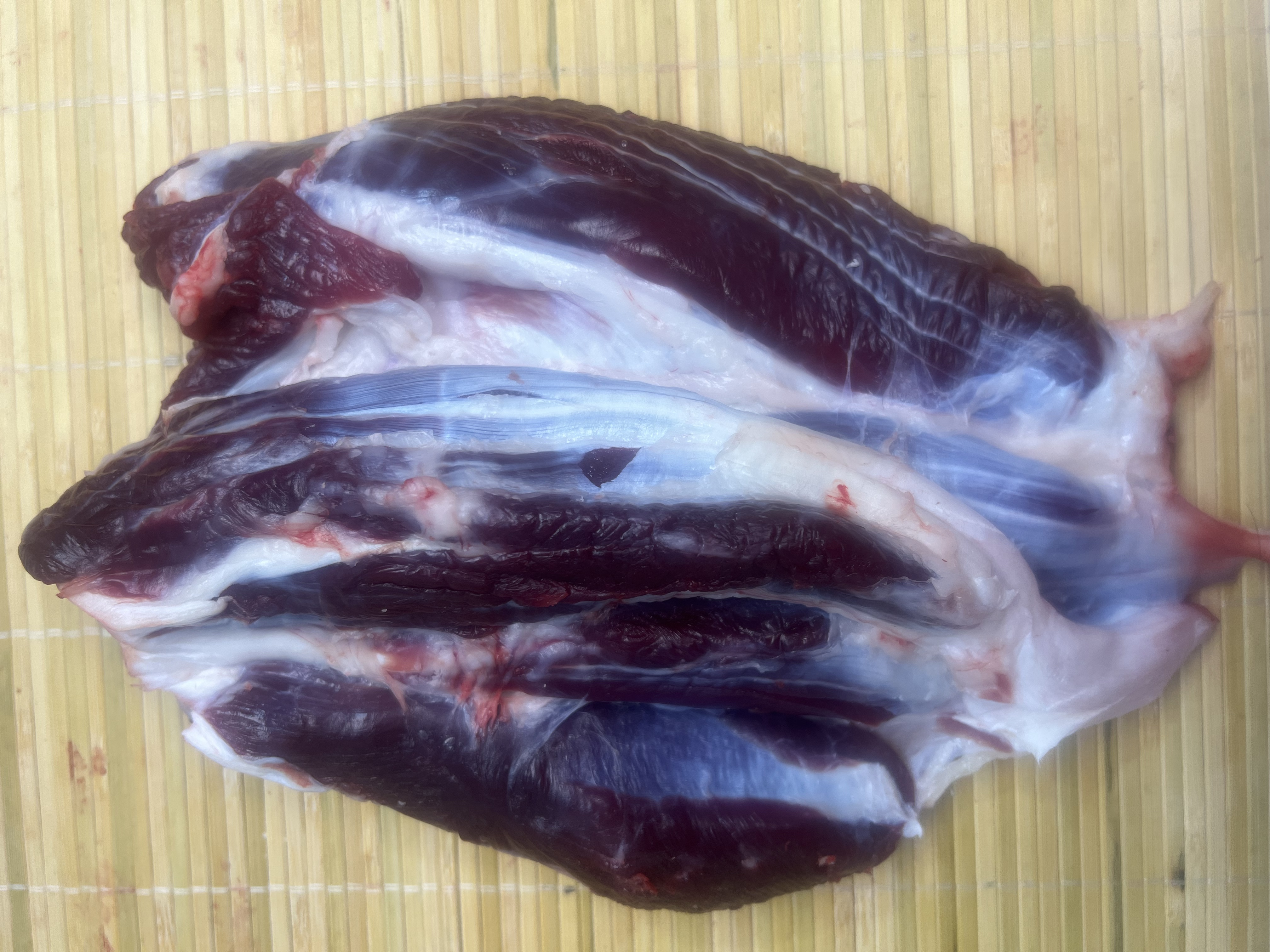 新鲜潮汕本地黄牛肉纯干无注水牛腱子芯三花腱金钱腱3斤好品质）