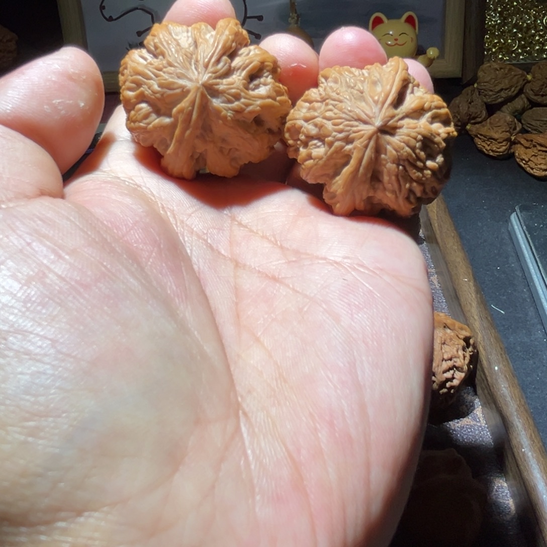 瑞麟文玩核桃大粗筋 38.38.36