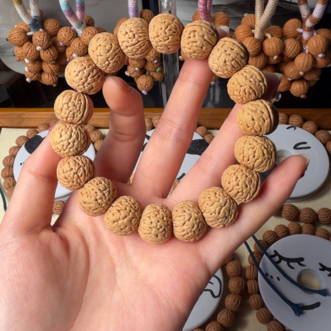 一***顺野生矮桩龙鳞芭蕉