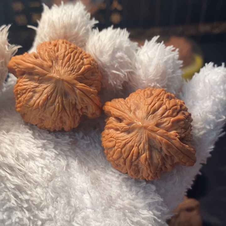 文玩核桃吊坠43.5平谷绣球