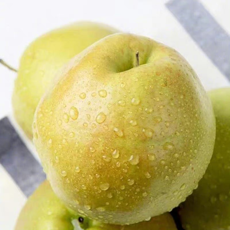 山西隰县玉露香梨一级果新鲜脆甜多汁皮薄水果果园直发坏果包赔