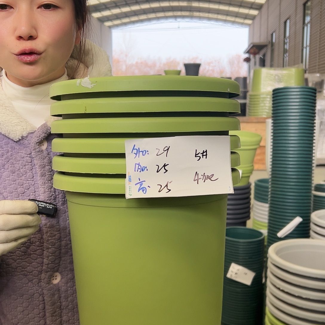 四季盆5#果绿6个无托