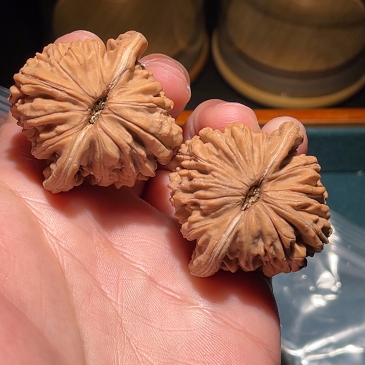 文玩核桃把件不****541楼子