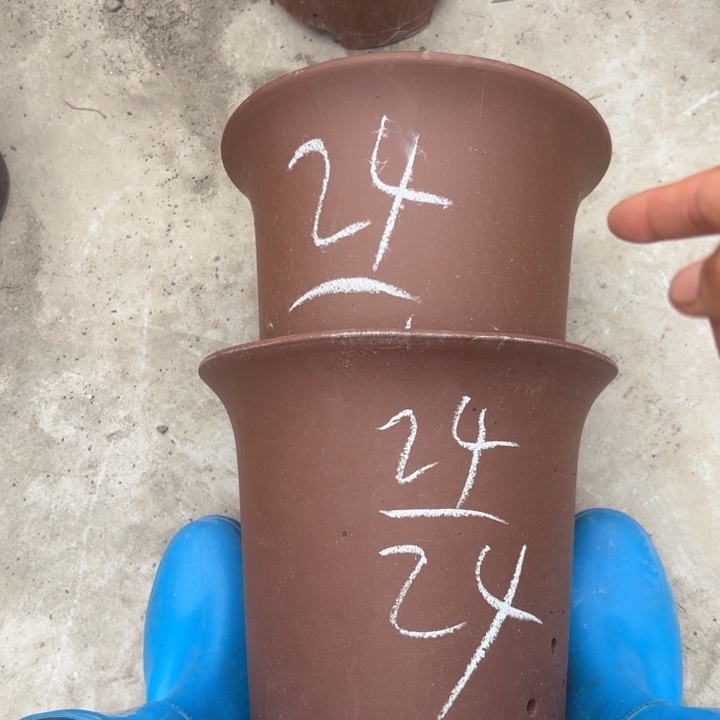 紫砂花盆紫砂的花