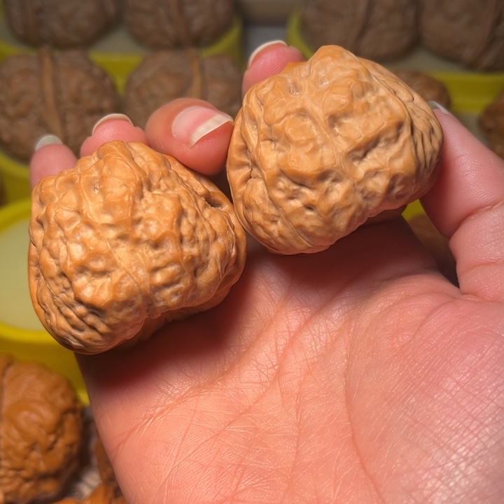 核桃 蛙蛙41。。。。。