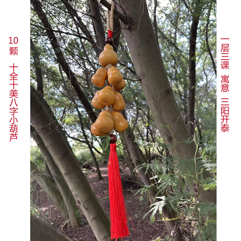 天然生长10颗十全十美胖墩流苏小葫芦挂件