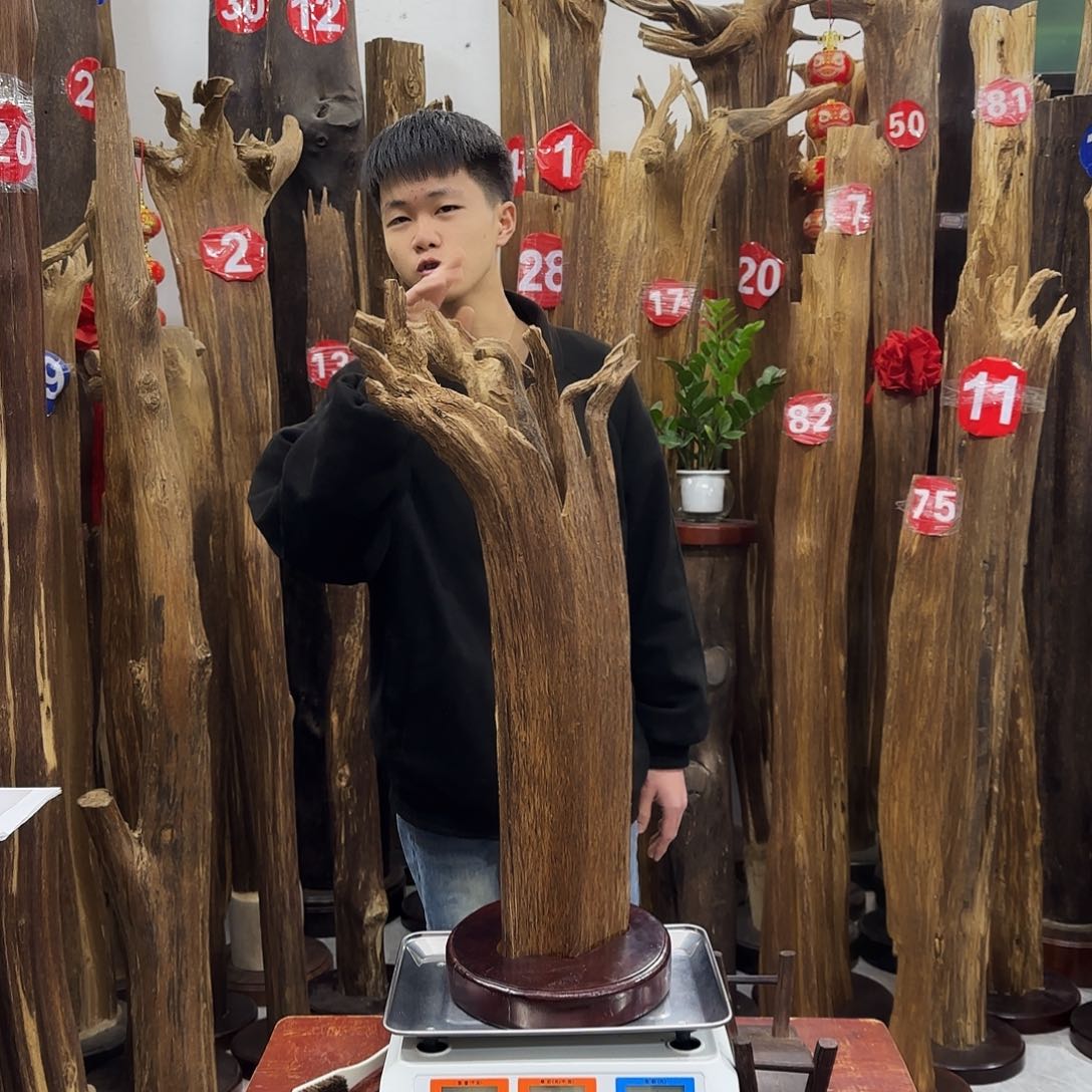 沉香摆件本*沉香摆件