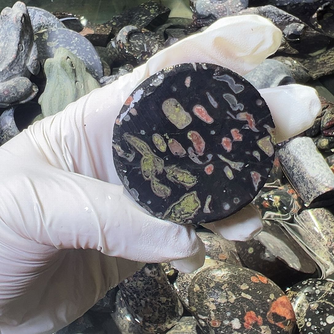 梅花玉鱼缸石茶周边不退不换