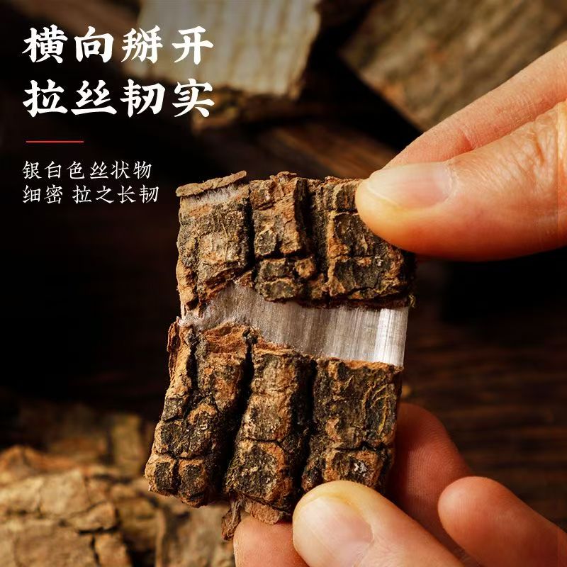 杜仲 板皮精选厚皮 道地产区