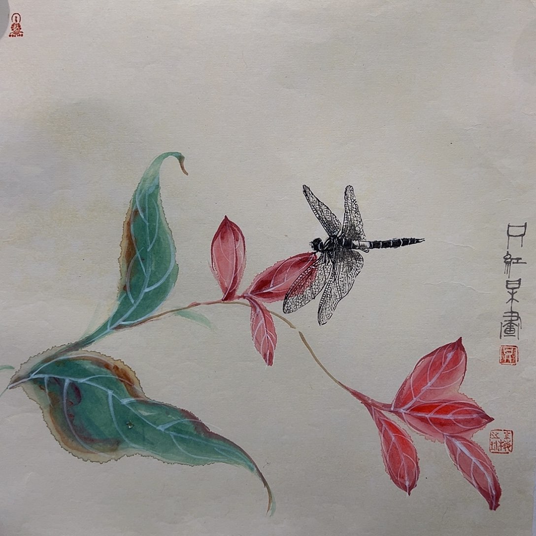 国画只红梅只红梅