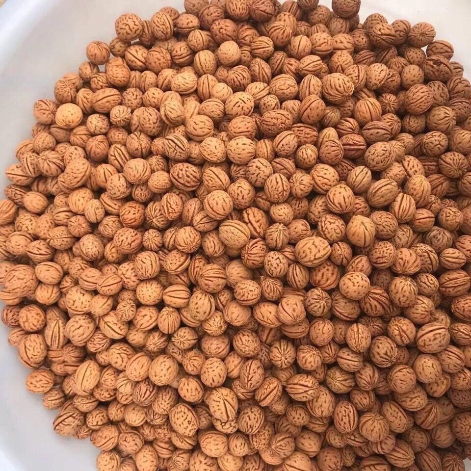  【手串料 不打孔12mm-18mm混装尺寸专用链接】 野生山桃核 