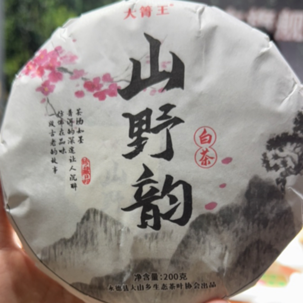 2024年山野韵白茶200克