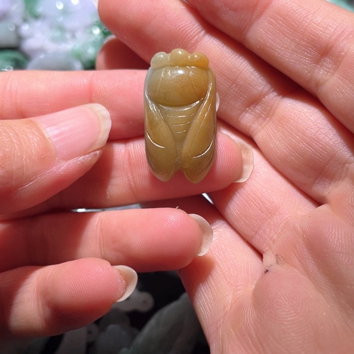 【闪购商品】翡翠颈饰未镶嵌天然翡翠