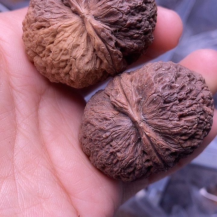 文玩核桃把件   172