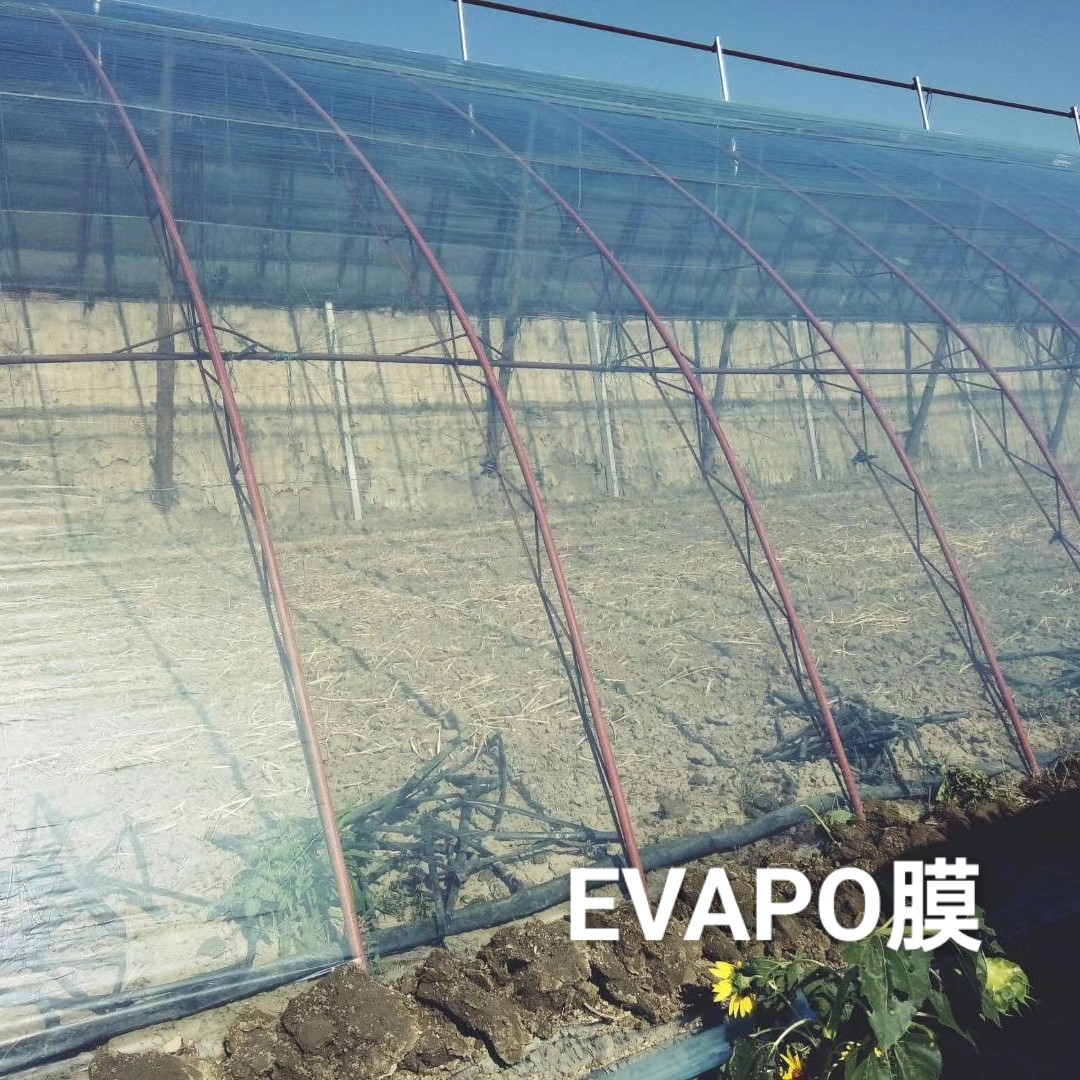 高保温EVAPO膜大棚膜精品水晶PO膜厂家直发塑料膜