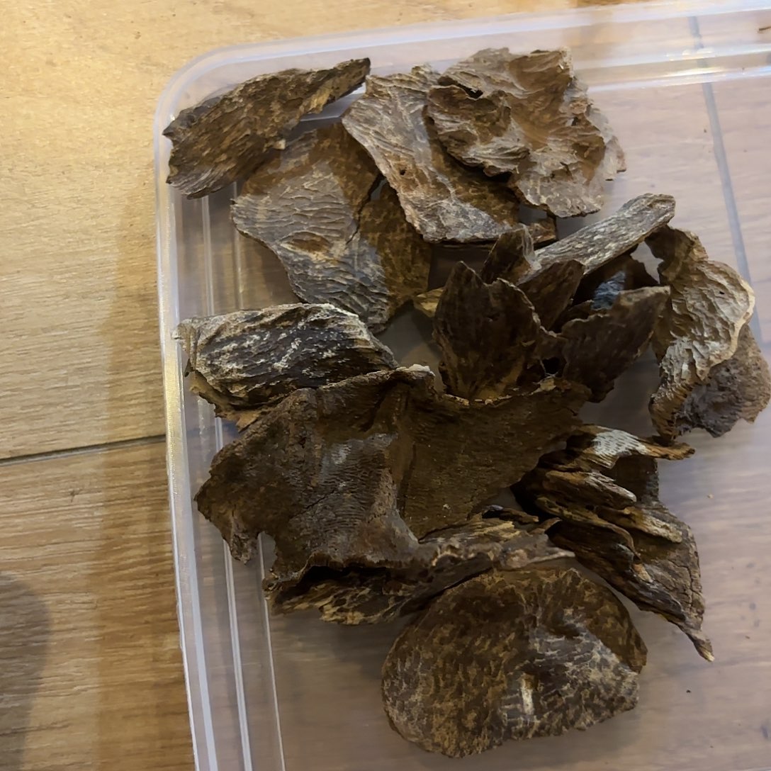 沉香沉香碎屑b****哥海南壳子20克